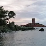Tekne Voilier De Charme A Quai Saint-Raphaël