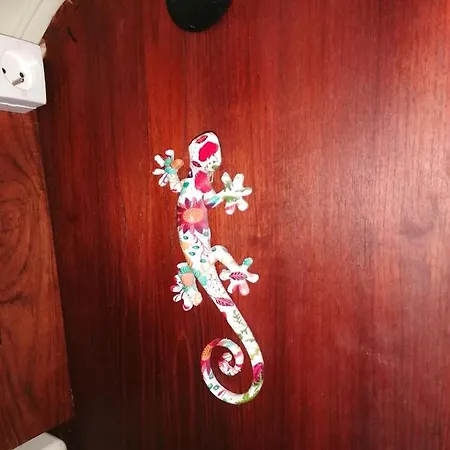 Voilier De Charme A Quai * Сен-Рафаель