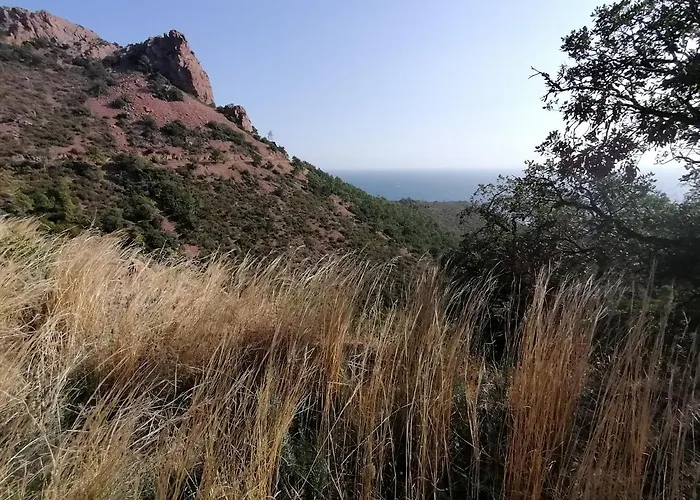 Voilier De Charme à Quai Botel *