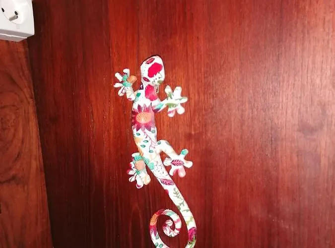 Voilier De Charme à Quai * Saint-Raphaël